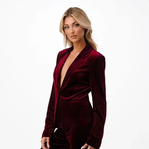 Burgundy Velvet Blazer - Picture 3 of 5